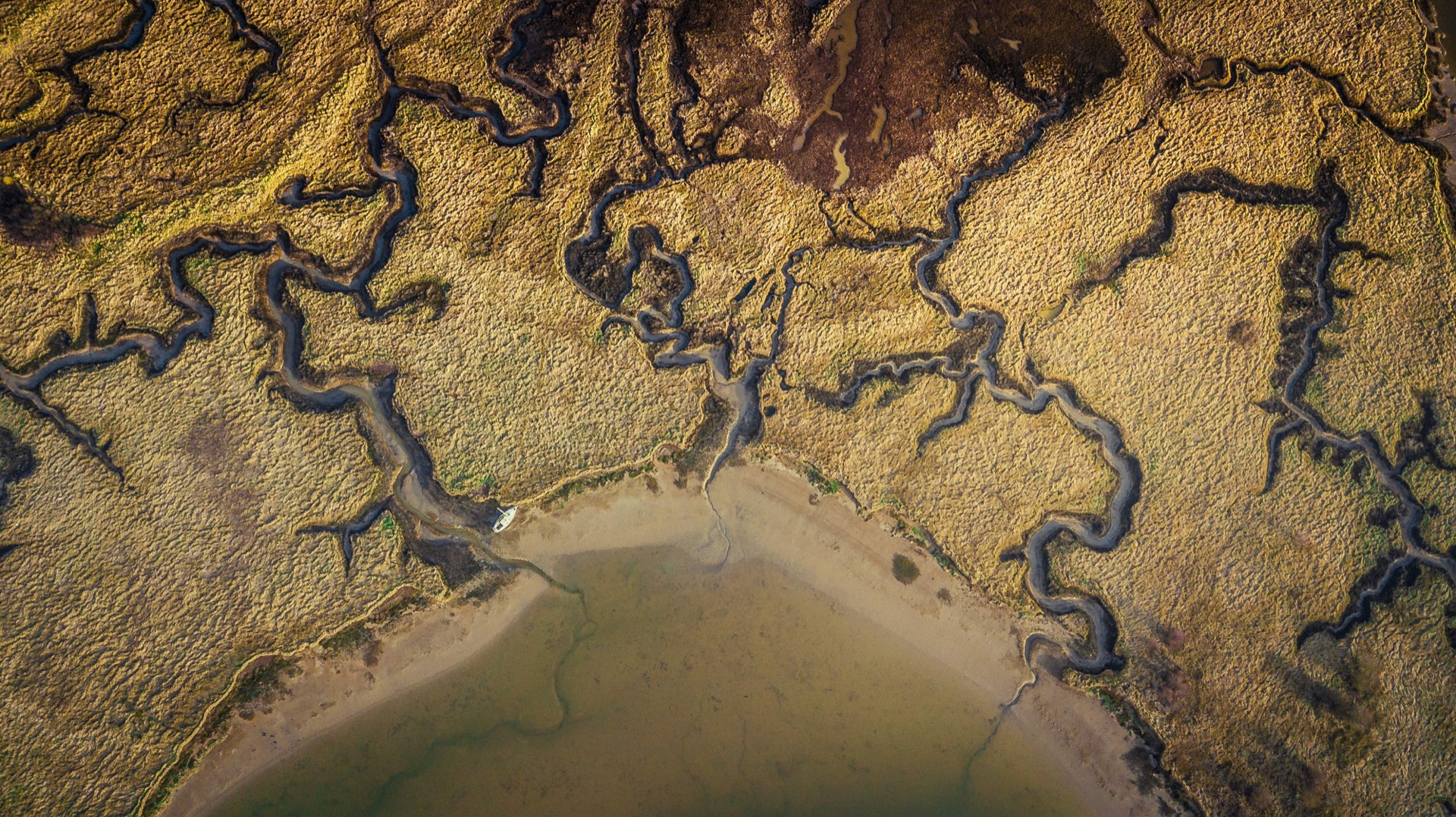 Aerial view of river delta